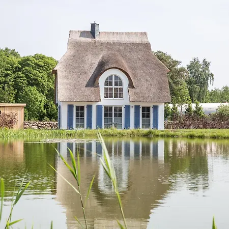 Schilfrohrsaenger 31 * Fuhlendorf (Mecklenburg-Vorpommern)