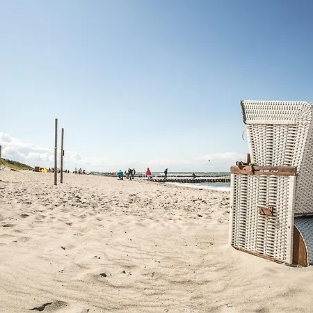 Schilfrohrsaenger 31 *