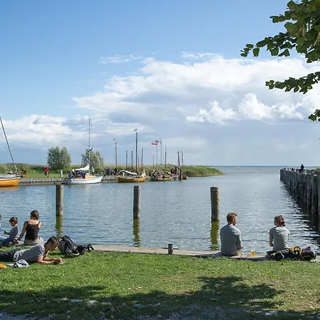 Schilfrohrsaenger 31 Fuhlendorf (Mecklenburg-Vorpommern)