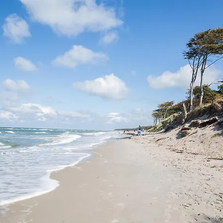 Schilfrohrsaenger 31