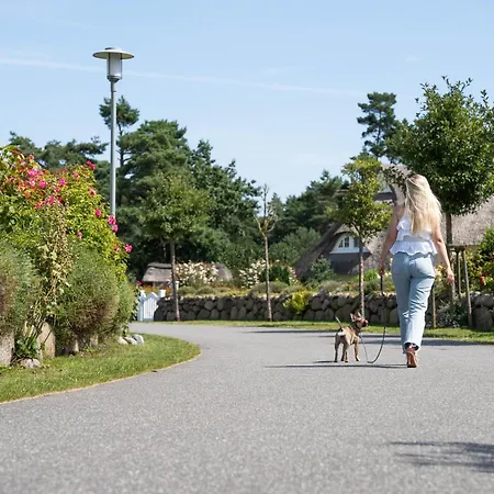 Schilfrohrsaenger 31 *